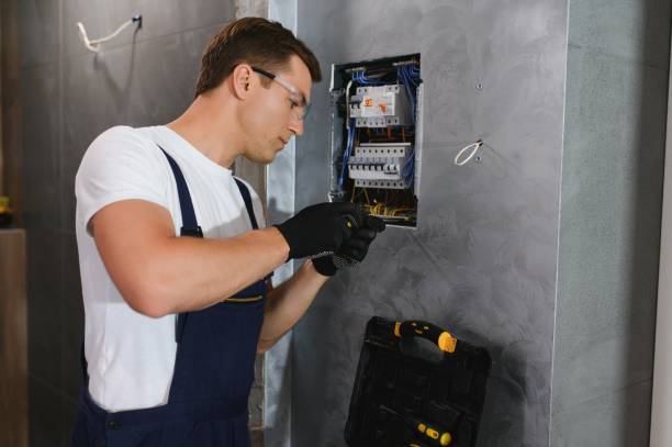 Best Electric Panel Repair  in St Ansgar, IA